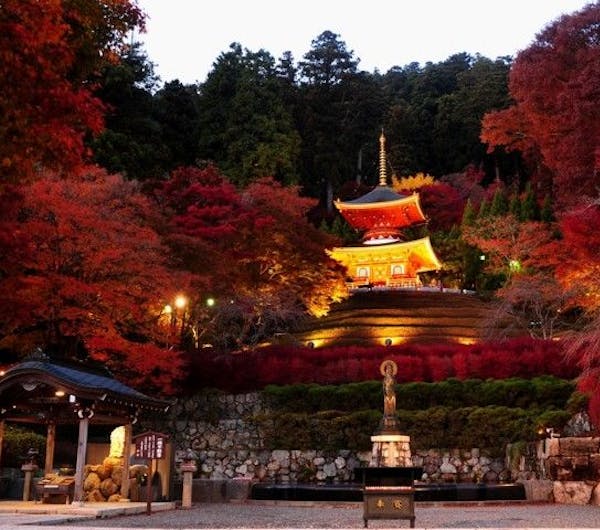 勝尾寺の紅葉 大阪 茨木 高槻 箕面 伊丹空港 人気紅葉スポット 一休 Comレストラン 勝尾寺の紅葉 大阪 茨木 高槻 箕面 伊丹空港 人気紅葉スポット 一休 Comレストラン