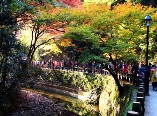 万博記念公園 大阪 吹田 人気紅葉スポット 一休 Comレストラン