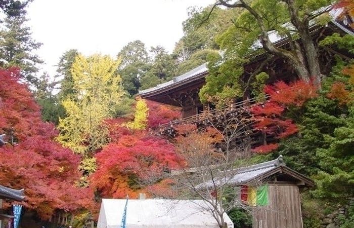 姫路紅葉21 姫路 秋の風物詩 紅葉を愉しむ 紅葉おすすめ人気スポット5選 一休 Comレストラン 姫路紅葉21 姫路 秋の風物詩 紅葉を愉しむ 紅葉おすすめ人気スポット5選 一休 Comレストラン