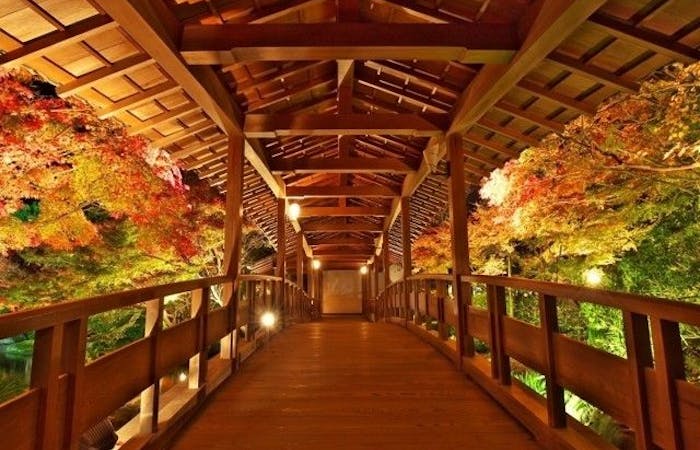 姫路紅葉21 姫路 秋の風物詩 紅葉を愉しむ 紅葉おすすめ人気スポット5選 一休 Comレストラン 姫路紅葉21 姫路 秋の風物詩 紅葉を愉しむ 紅葉おすすめ人気スポット5選 一休 Comレストラン