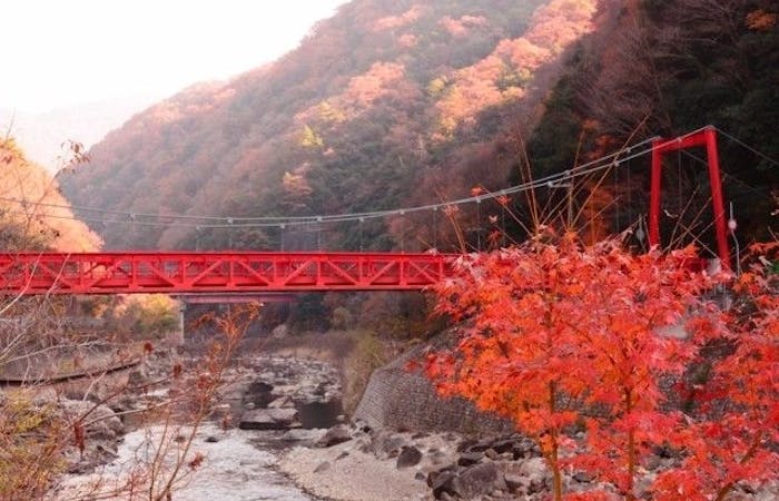宝塚紅葉21 宝塚 秋の風物詩 紅葉を愉しむ 紅葉おすすめ人気スポット21選 一休 Comレストラン 宝塚紅葉21 宝塚 秋の風物詩 紅葉を愉しむ 紅葉おすすめ人気スポット21選 一休 Comレストラン