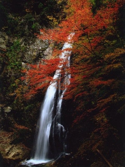 原不動滝 兵庫 宍粟 人気紅葉スポット 一休 Comレストラン