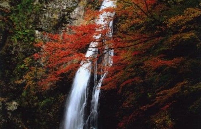 宍粟紅葉22 宍粟 秋の風物詩 紅葉を愉しむ 紅葉おすすめ人気スポット7選 一休 Comレストラン 宍粟紅葉22 宍粟 秋の風物詩 紅葉を愉しむ 紅葉おすすめ人気スポット7選 一休 Comレストラン