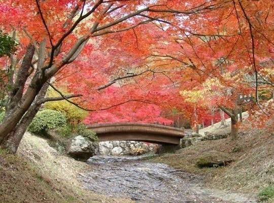 書写山圓教寺 兵庫 姫路 人気紅葉スポット 一休 Comレストラン