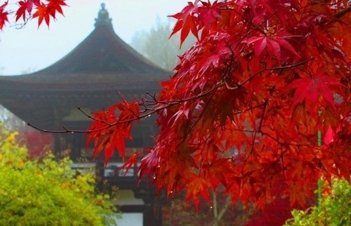 笠置紅葉21 笠置 秋の風物詩 紅葉を愉しむ 紅葉おすすめ人気スポット30選 一休 Comレストラン 笠置紅葉21 笠置 秋の風物詩 紅葉を愉しむ 紅葉おすすめ人気スポット30選 一休 Comレストラン