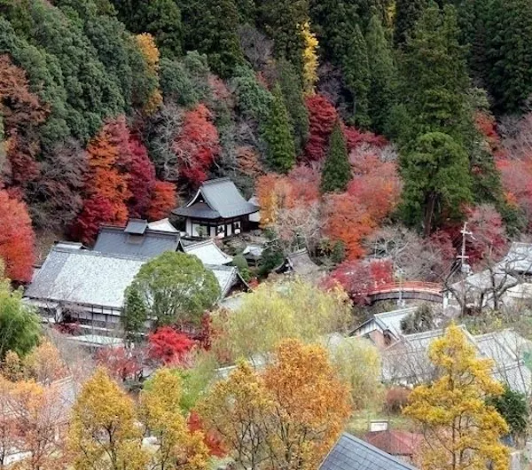 室生寺 奈良 桜井 橿原 明日香村 人気紅葉スポット 一休 Comレストラン 室生寺 奈良 桜井 橿原 明日香村 人気紅葉スポット 一休 Comレストラン