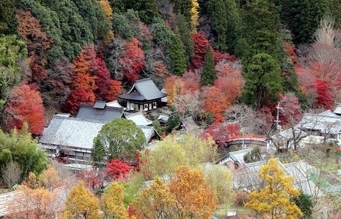 笠置紅葉21 笠置 秋の風物詩 紅葉を愉しむ 紅葉おすすめ人気スポット30選 一休 Comレストラン 笠置紅葉21 笠置 秋の風物詩 紅葉を愉しむ 紅葉おすすめ人気スポット30選 一休 Comレストラン