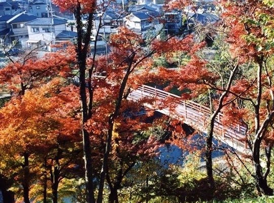 犬鳴山の紅葉 大阪 泉佐野 人気紅葉スポット 一休 Comレストラン 犬鳴山の紅葉 大阪 泉佐野 人気紅葉スポット 一休 Comレストラン