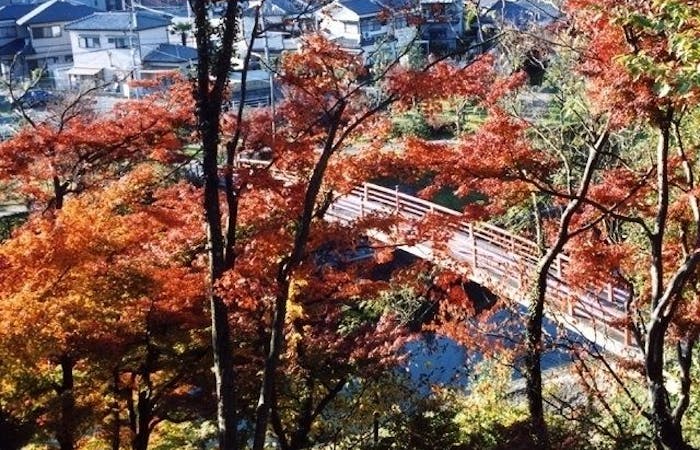 生駒紅葉21 生駒 秋の風物詩 紅葉を愉しむ 紅葉おすすめ人気スポット30選 一休 Comレストラン 生駒紅葉21 生駒 秋の風物詩 紅葉を愉しむ 紅葉おすすめ人気スポット30選 一休 Comレストラン