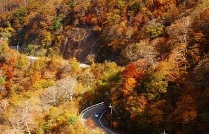 田辺市紅葉21 田辺市 秋の風物詩 紅葉を愉しむ 紅葉おすすめ人気スポット2選 一休 Comレストラン 田辺市紅葉21 田辺市 秋の風物詩 紅葉を愉しむ 紅葉おすすめ人気スポット2選 一休 Comレストラン