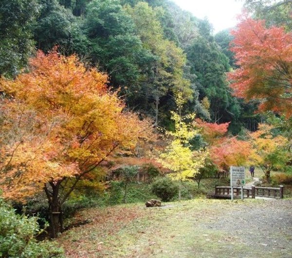 大滝川森林公園 和歌山 有田 御坊 日高 人気紅葉スポット 一休 Comレストラン 大滝川森林公園 和歌山 有田 御坊 日高 人気紅葉スポット 一休 Comレストラン