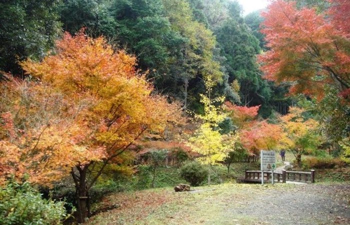 有田 御坊 日高紅葉21 有田 御坊 日高 秋の風物詩 紅葉を愉しむ 紅葉おすすめ人気スポット3選 一休 Comレストラン