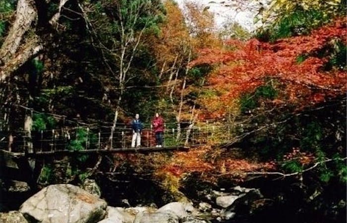 鳥取市紅葉21 鳥取市 秋の風物詩 紅葉を愉しむ 紅葉おすすめ人気スポット4選 一休 Comレストラン 鳥取市紅葉21 鳥取市 秋の風物詩 紅葉を愉しむ 紅葉おすすめ人気スポット4選 一休 Comレストラン