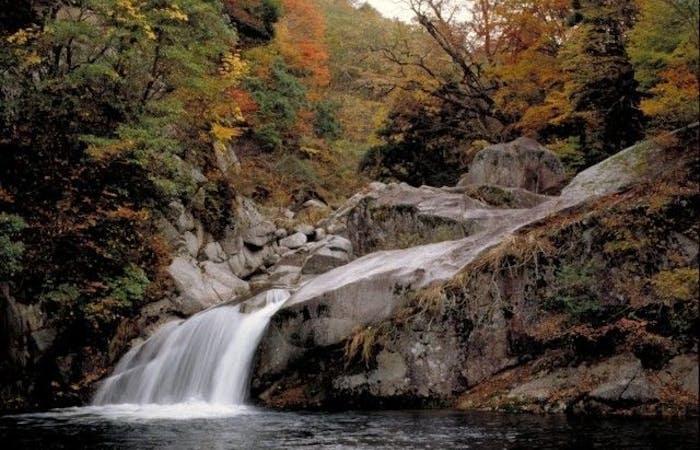鳥取市紅葉21 鳥取市 秋の風物詩 紅葉を愉しむ 紅葉おすすめ人気スポット4選 一休 Comレストラン 鳥取市紅葉21 鳥取市 秋の風物詩 紅葉を愉しむ 紅葉おすすめ人気スポット4選 一休 Comレストラン