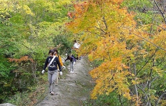 鳥取市紅葉21 鳥取市 秋の風物詩 紅葉を愉しむ 紅葉おすすめ人気スポット4選 一休 Comレストラン 鳥取市紅葉21 鳥取市 秋の風物詩 紅葉を愉しむ 紅葉おすすめ人気スポット4選 一休 Comレストラン