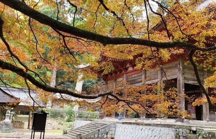 出雲紅葉21 出雲 秋の風物詩 紅葉を愉しむ 紅葉おすすめ人気スポット3選 一休 Comレストラン 出雲紅葉21 出雲 秋の風物詩 紅葉を愉しむ 紅葉おすすめ人気スポット3選 一休 Comレストラン