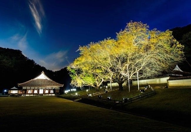 岡山紅葉22 岡山 秋の風物詩 紅葉を愉しむ 紅葉おすすめ人気スポット10選 一休 Comレストラン 岡山紅葉22 岡山 秋の風物詩 紅葉を愉しむ 紅葉おすすめ人気スポット10選 一休 Comレストラン