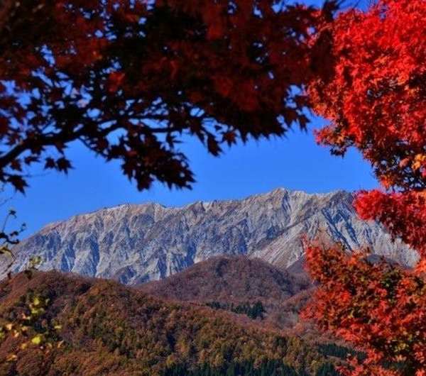 蒜山大山スカイライン 岡山 真庭 人気紅葉スポット 一休 Comレストラン 蒜山大山スカイライン 岡山 真庭 人気紅葉スポット 一休 Comレストラン