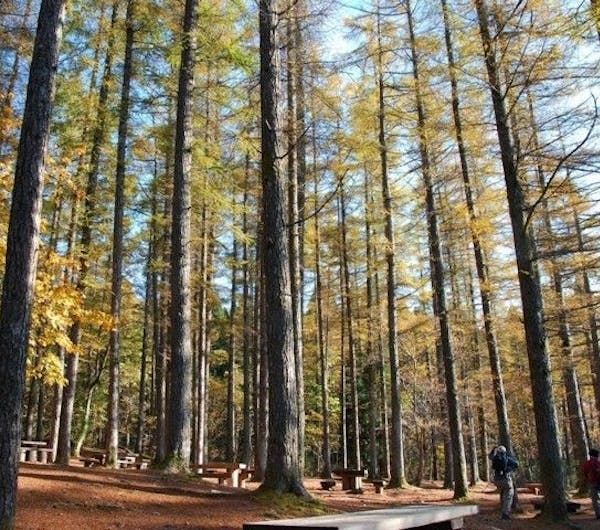 岡山県立森林公園 岡山 鏡野町 人気紅葉スポット 一休 Comレストラン 岡山県立森林公園 岡山 鏡野町 人気紅葉スポット 一休 Comレストラン