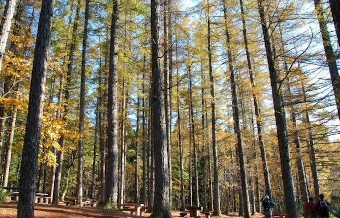 鏡野町紅葉22 鏡野町 秋の風物詩 紅葉を愉しむ 紅葉おすすめ人気スポット10選 一休 Comレストラン 鏡野町紅葉22 鏡野町 秋の風物詩 紅葉を愉しむ 紅葉おすすめ人気スポット10選 一休 Comレストラン