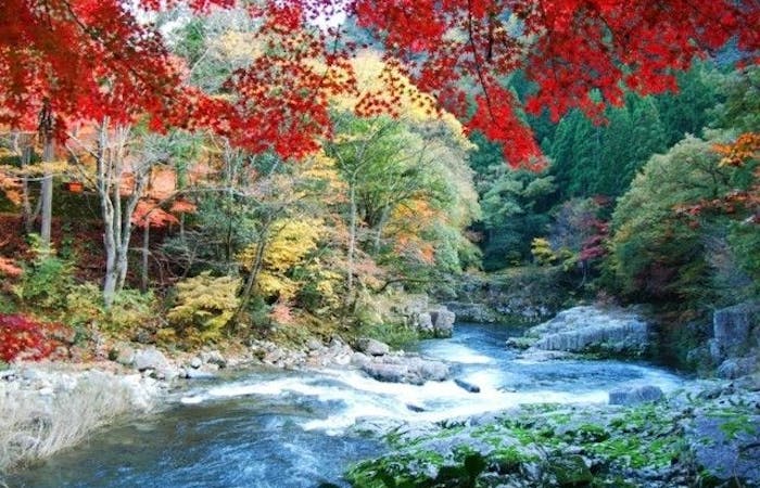真庭市紅葉22 真庭市 秋の風物詩 紅葉を愉しむ 紅葉おすすめ人気スポット13選 一休 Comレストラン 真庭市紅葉22 真庭市 秋の風物詩 紅葉を愉しむ 紅葉おすすめ人気スポット13選 一休 Comレストラン