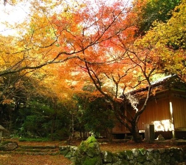 華山神上寺 山口 下関 人気紅葉スポット 一休 Comレストラン