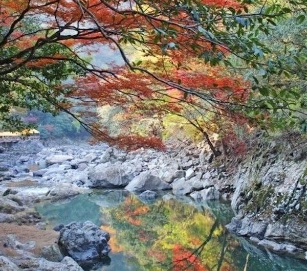 長門峡 山口 山口市 人気紅葉スポット 一休 Comレストラン 長門峡 山口 山口市 人気紅葉スポット 一休 Comレストラン
