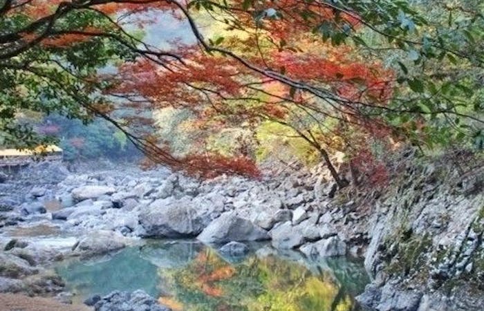防府紅葉21 防府 秋の風物詩 紅葉を愉しむ 紅葉おすすめ人気スポット2選 一休 Comレストラン 防府紅葉21 防府 秋の風物詩 紅葉を愉しむ 紅葉おすすめ人気スポット2選 一休 Comレストラン