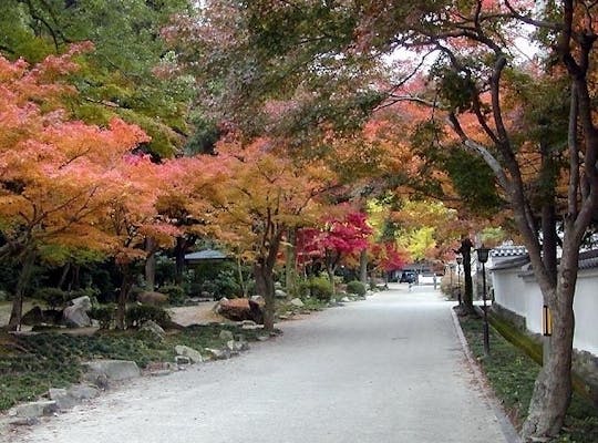 匹見峡 島根 人気紅葉スポット 一休 Comレストラン