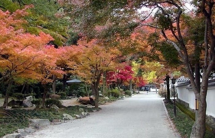 岩国紅葉21 岩国 秋の風物詩 紅葉を愉しむ 紅葉おすすめ人気スポット4選 一休 Comレストラン 岩国紅葉21 岩国 秋の風物詩 紅葉を愉しむ 紅葉おすすめ人気スポット4選 一休 Comレストラン