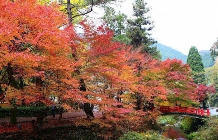 萩 長門紅葉 萩 長門 秋の風物詩 紅葉を愉しむ 紅葉おすすめ人気スポット3選 一休 Comレストラン