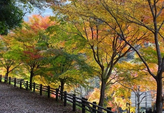 香川紅葉21 香川 秋の風物詩 紅葉を愉しむ 紅葉おすすめ人気スポット10選 一休 Comレストラン 香川紅葉21 香川 秋の風物詩 紅葉を愉しむ 紅葉おすすめ人気スポット10選 一休 Comレストラン