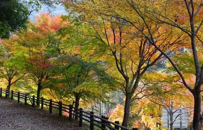 高松紅葉21 高松 秋の風物詩 紅葉を愉しむ 紅葉おすすめ人気スポット5選 一休 Comレストラン 高松紅葉21 高松 秋の風物詩 紅葉を愉しむ 紅葉おすすめ人気スポット5選 一休 Comレストラン