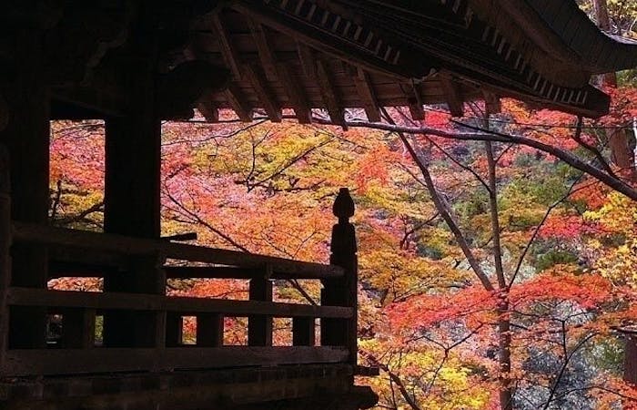 高松紅葉21 高松 秋の風物詩 紅葉を愉しむ 紅葉おすすめ人気スポット5選 一休 Comレストラン 高松紅葉21 高松 秋の風物詩 紅葉を愉しむ 紅葉おすすめ人気スポット5選 一休 Comレストラン