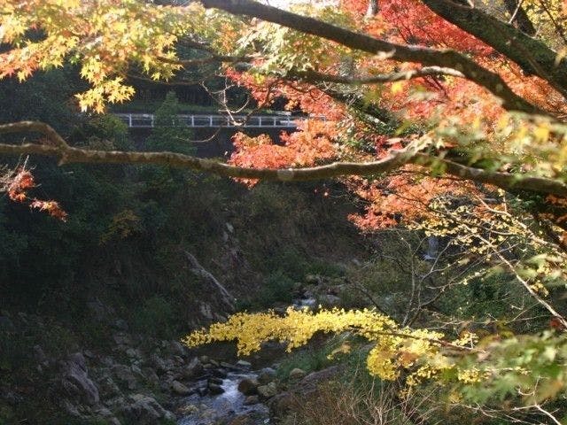柏原渓谷 香川 丸亀 坂出 宇多津 人気紅葉スポット 一休 Comレストラン