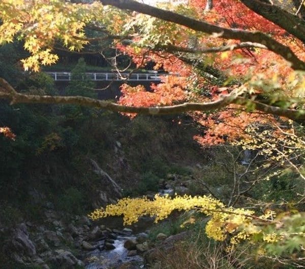 柏原渓谷 香川 丸亀 坂出 宇多津 人気紅葉スポット 一休 Comレストラン 柏原渓谷 香川 丸亀 坂出 宇多津 人気紅葉スポット 一休 Comレストラン