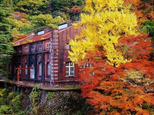 四国紅葉21 四国 秋の風物詩 紅葉を愉しむ 紅葉おすすめ人気スポット23選 一休 Comレストラン