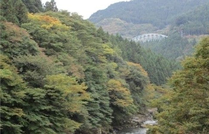 四国中央市紅葉21 四国中央市 秋の風物詩 紅葉を愉しむ 紅葉おすすめ人気スポット5選 一休 Comレストラン 四国中央市紅葉21 四国中央市 秋の風物詩 紅葉を愉しむ 紅葉おすすめ人気スポット5選 一休 Comレストラン