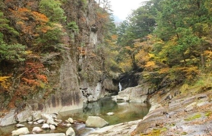 久万高原町紅葉21 久万高原町 秋の風物詩 紅葉を愉しむ 紅葉おすすめ人気スポット6選 一休 Comレストラン 久万高原町紅葉21 久万高原町 秋の風物詩 紅葉を愉しむ 紅葉おすすめ人気スポット6選 一休 Comレストラン