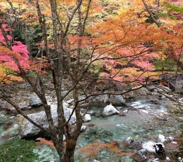 小田深山渓谷 愛媛 内子 大洲 人気紅葉スポット 一休 Comレストラン 小田深山渓谷 愛媛 内子 大洲 人気紅葉スポット 一休 Comレストラン