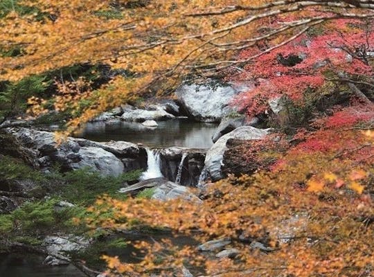 面河渓 愛媛 久万高原町 人気紅葉スポット 一休 Comレストラン 面河渓 愛媛 久万高原町 人気紅葉スポット 一休 Comレストラン