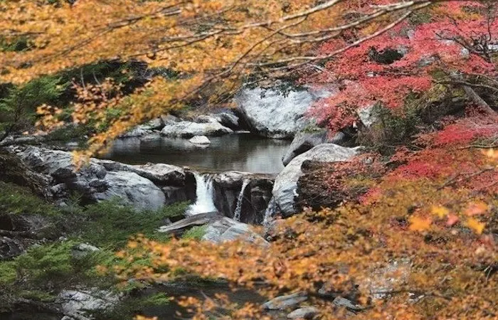 土佐郡紅葉21 土佐郡 秋の風物詩 紅葉を愉しむ 紅葉おすすめ人気スポット6選 一休 Comレストラン 土佐郡紅葉21 土佐郡 秋の風物詩 紅葉を愉しむ 紅葉おすすめ人気スポット6選 一休 Comレストラン