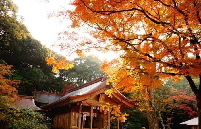 秋月紅葉21 秋月 秋の風物詩 紅葉を愉しむ 紅葉おすすめ人気スポット6選 一休 Comレストラン 秋月紅葉21 秋月 秋の風物詩 紅葉を愉しむ 紅葉おすすめ人気スポット6選 一休 Comレストラン