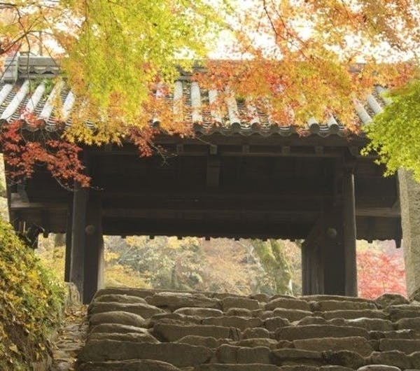 秋月城跡 福岡 秋月 人気紅葉スポット 一休 Comレストラン 秋月城跡 福岡 秋月 人気紅葉スポット 一休 Comレストラン