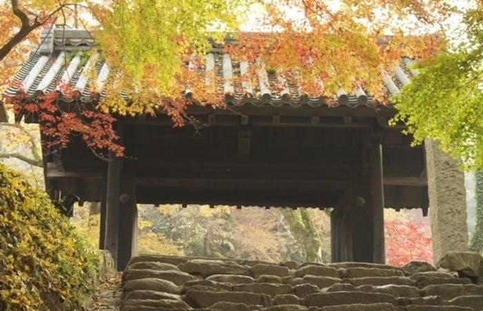秋月紅葉21 秋月 秋の風物詩 紅葉を愉しむ 紅葉おすすめ人気スポット6選 一休 Comレストラン 秋月紅葉21 秋月 秋の風物詩 紅葉を愉しむ 紅葉おすすめ人気スポット6選 一休 Comレストラン