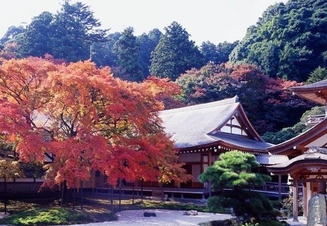 福岡紅葉21 福岡 秋の風物詩 紅葉を愉しむ 紅葉おすすめ人気スポット11選 一休 Comレストラン 福岡紅葉21 福岡 秋の風物詩 紅葉を愉しむ 紅葉おすすめ人気スポット11選 一休 Comレストラン