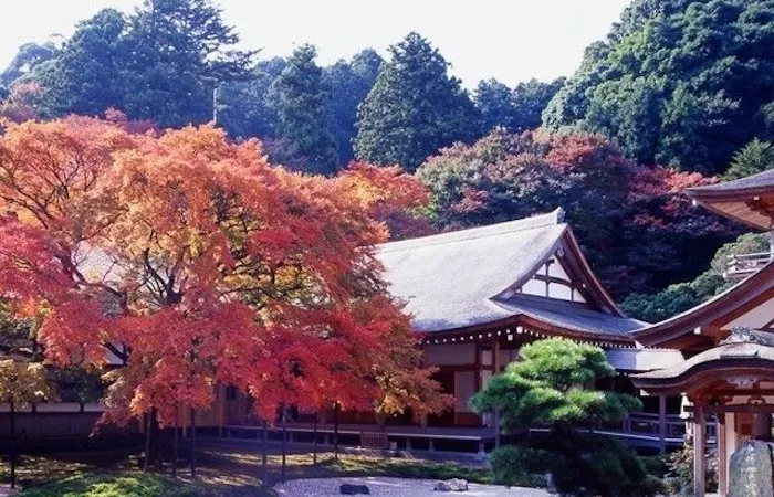 基山紅葉21 基山 秋の風物詩 紅葉を愉しむ 紅葉おすすめ人気スポット8選 一休 Comレストラン 基山紅葉21 基山 秋の風物詩 紅葉を愉しむ 紅葉おすすめ人気スポット8選 一休 Comレストラン