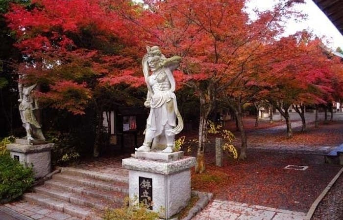 秋月紅葉22 秋月 秋の風物詩 紅葉を愉しむ 紅葉おすすめ人気スポット6選 一休 Comレストラン 秋月紅葉22 秋月 秋の風物詩 紅葉を愉しむ 紅葉おすすめ人気スポット6選 一休 Comレストラン
