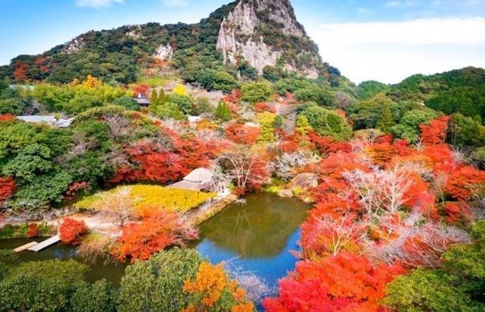 多久 武雄紅葉21 多久 武雄 秋の風物詩 紅葉を愉しむ 紅葉おすすめ人気スポット5選 一休 Comレストラン 多久 武雄紅葉21 多久 武雄 秋の風物詩 紅葉を愉しむ 紅葉おすすめ人気スポット5選 一休 Comレストラン