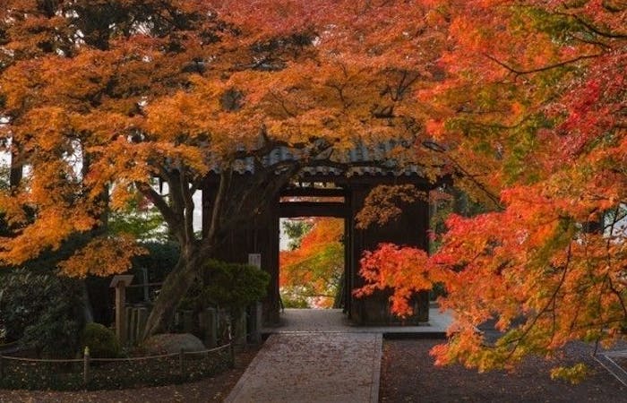 基山紅葉21 基山 秋の風物詩 紅葉を愉しむ 紅葉おすすめ人気スポット8選 一休 Comレストラン 基山紅葉21 基山 秋の風物詩 紅葉を愉しむ 紅葉おすすめ人気スポット8選 一休 Comレストラン